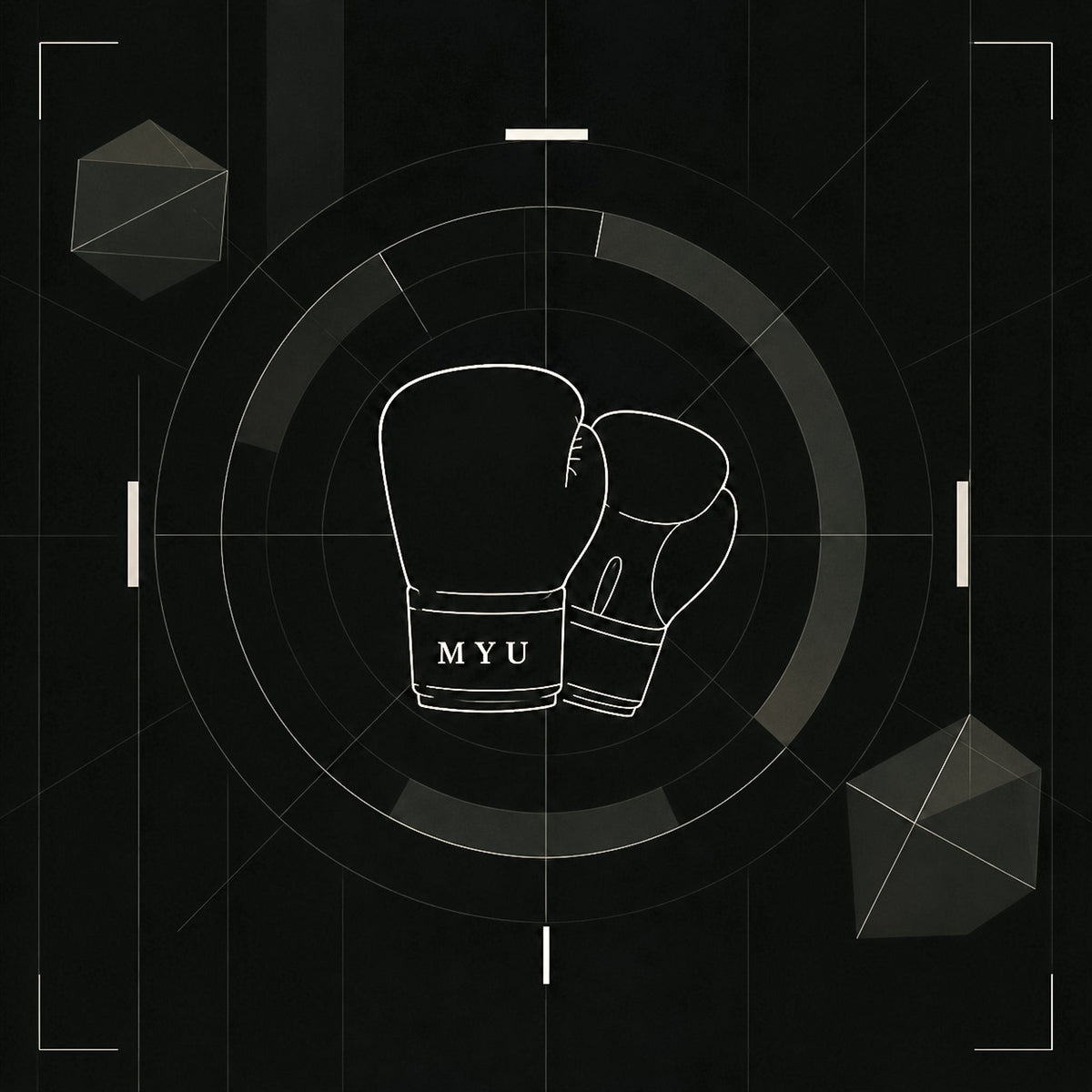 BOXING GLOVES
