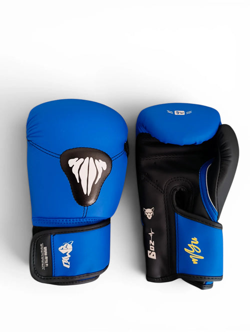 "PARS" Kids Boxing Glove Blue