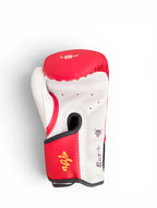 "PARS" Kids Boxing Glove Red