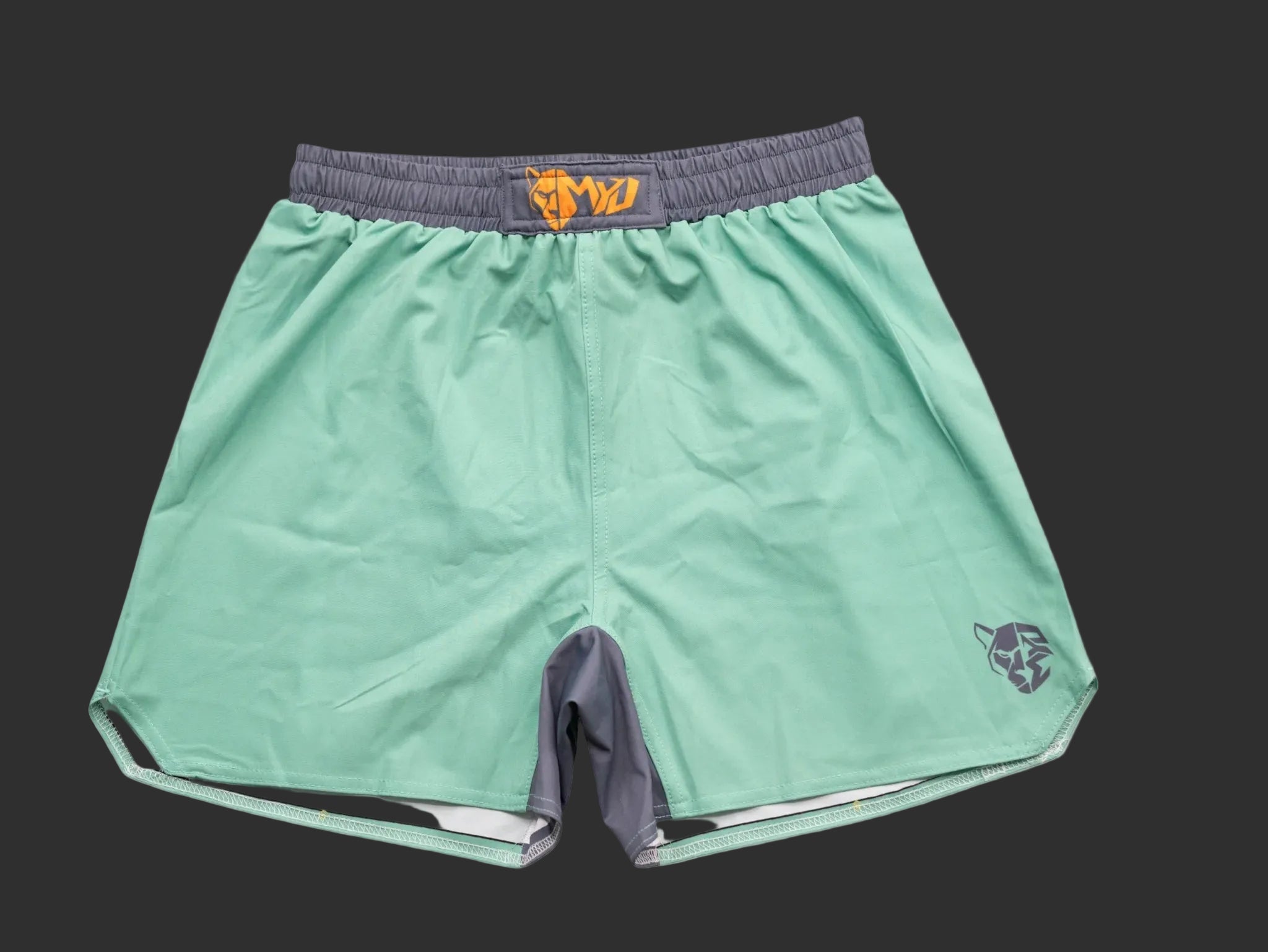 Arctic Mint Combat Short