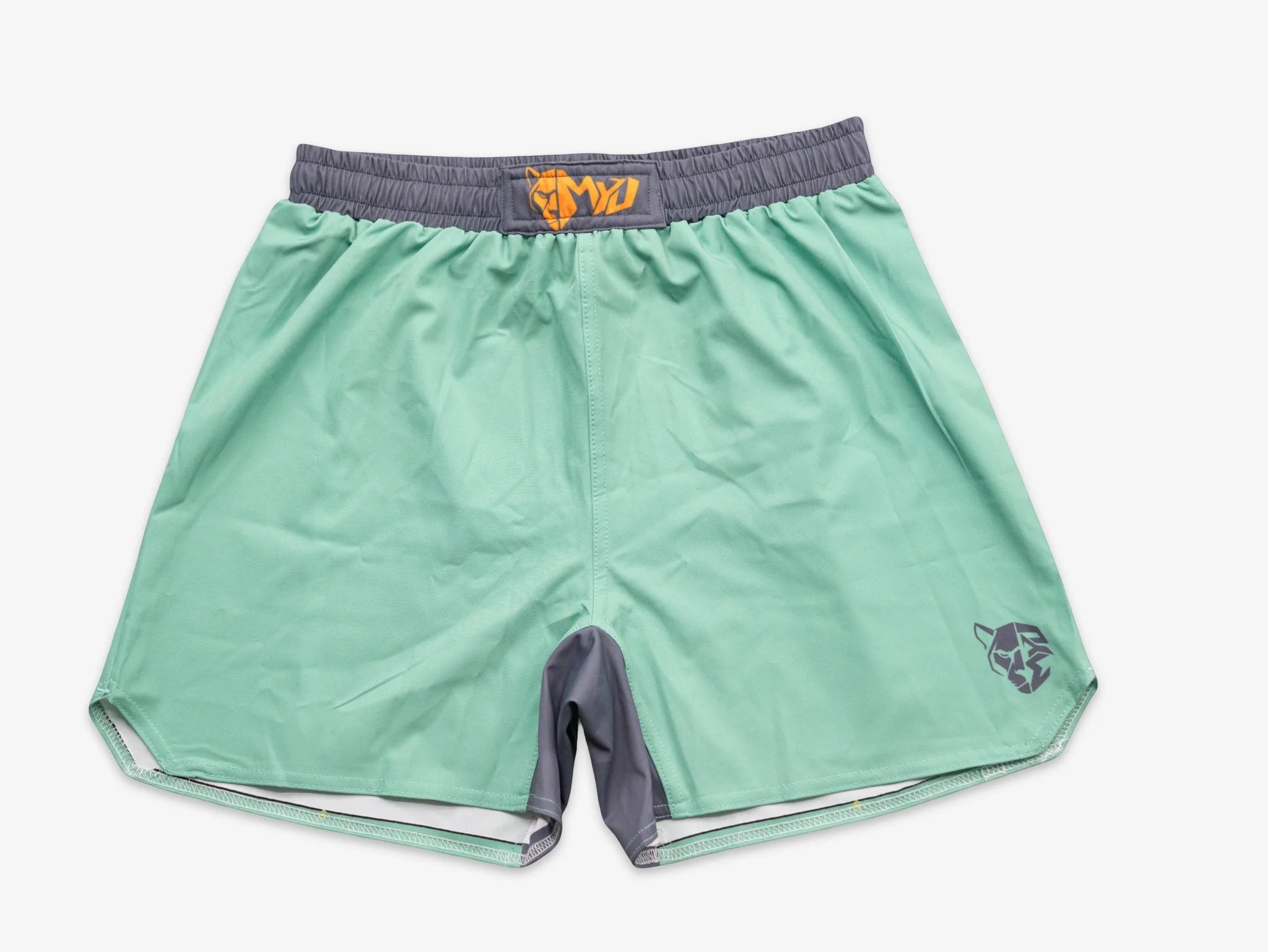 Arctic Mint Combat Short