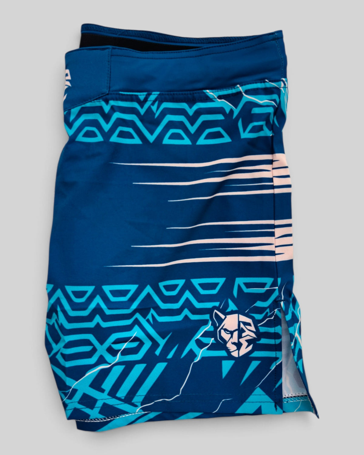 MYU Teal Circuit fight shorts, teal grappling and MMA shorts with circuit print — folded side angle