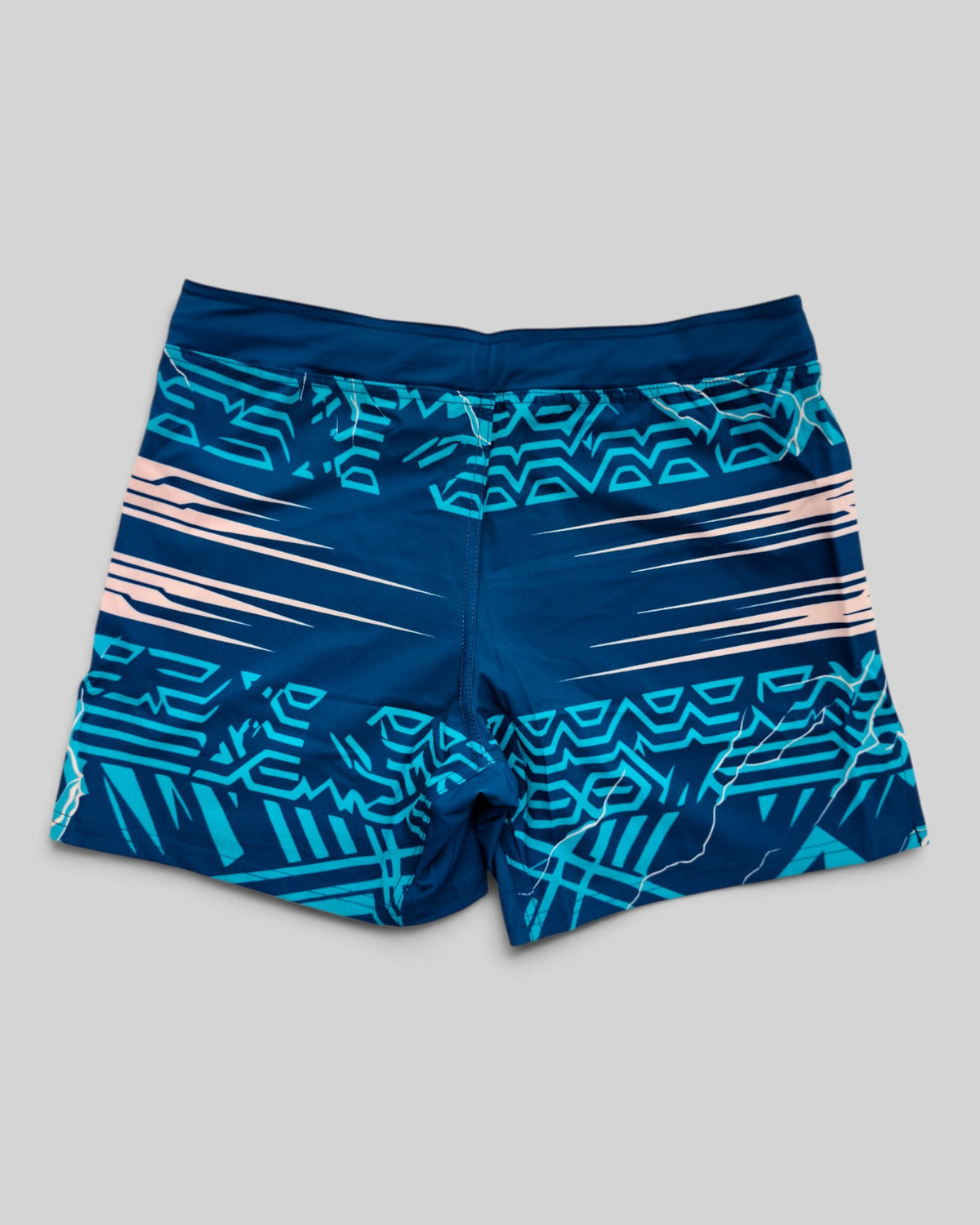 MYU Teal Circuit fight shorts, teal grappling and MMA shorts with circuit print — back view