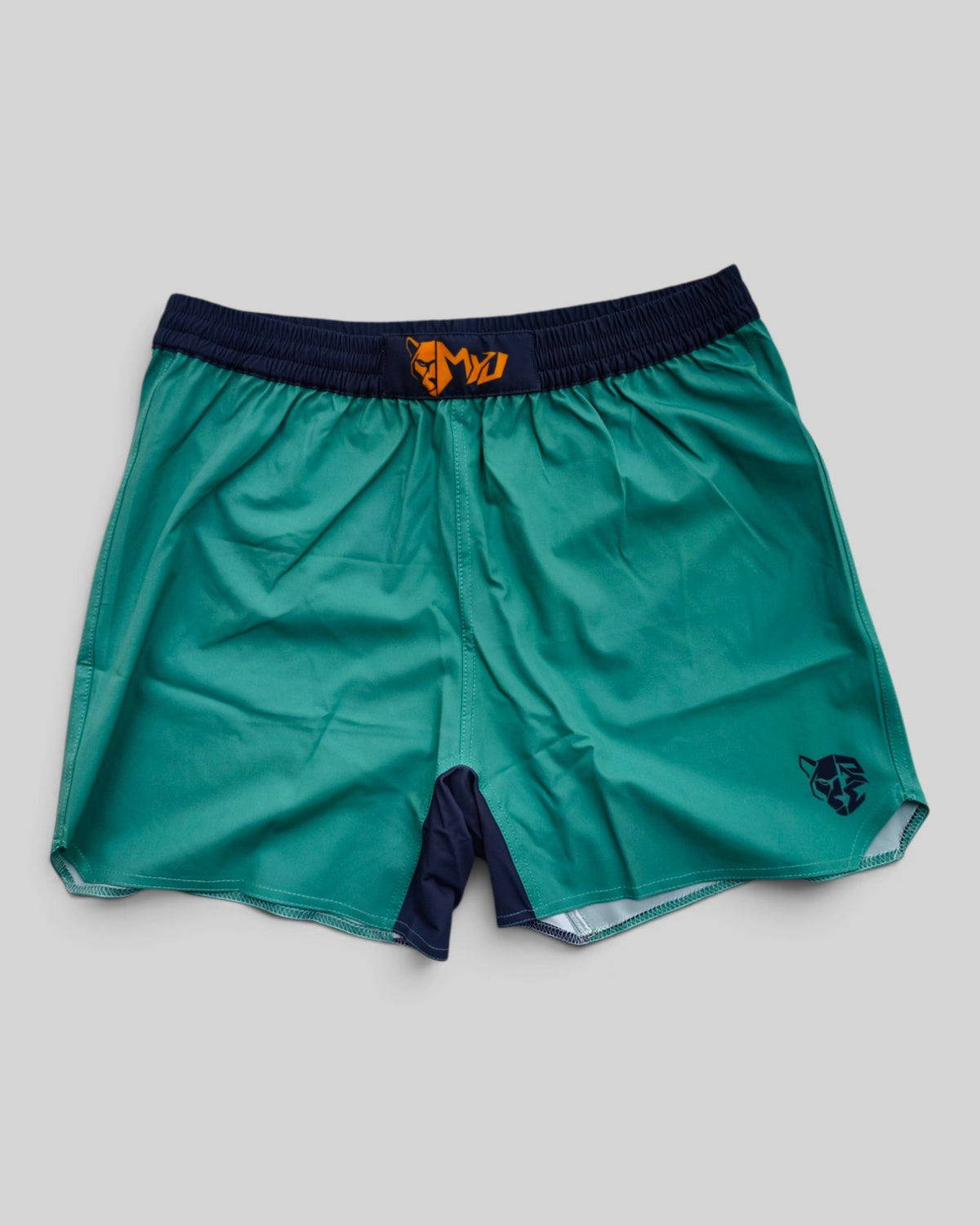 MYU Arctic Mint fight shorts, mint green grappling and MMA shorts — front view
