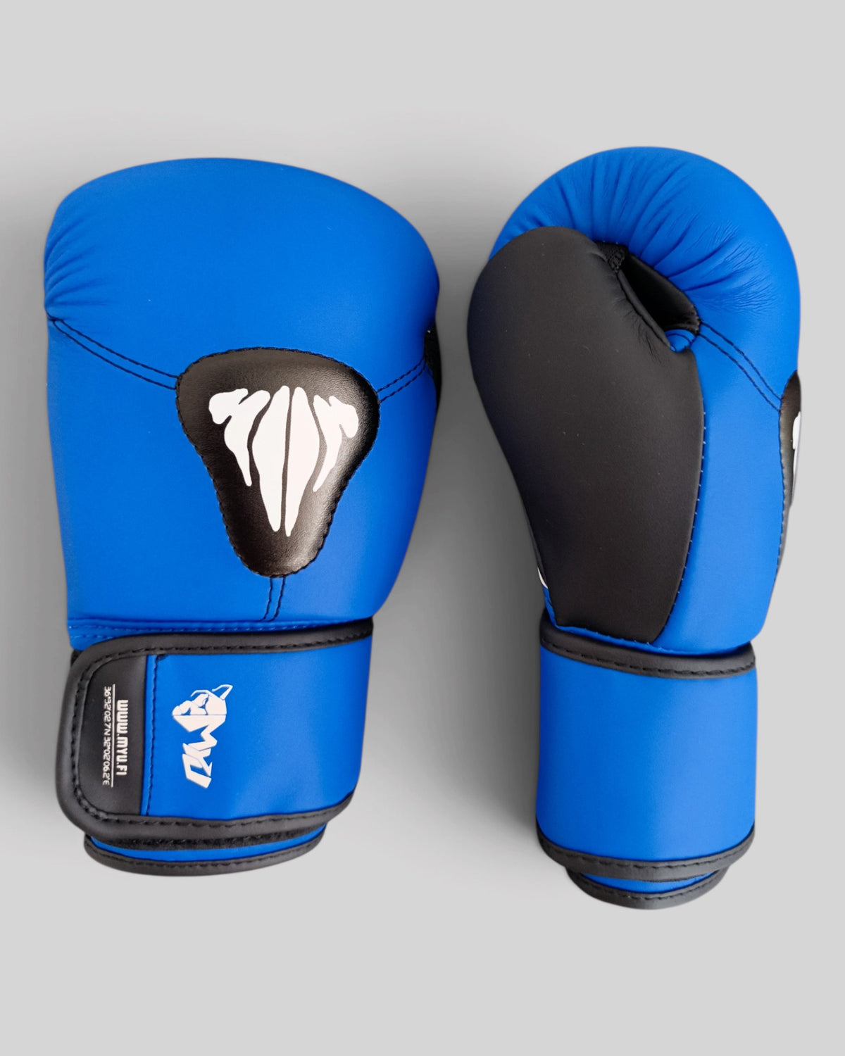 MYU PARS kids boxing gloves in blue, hook-and-loop gloves for junior boxers — both gloves side by side